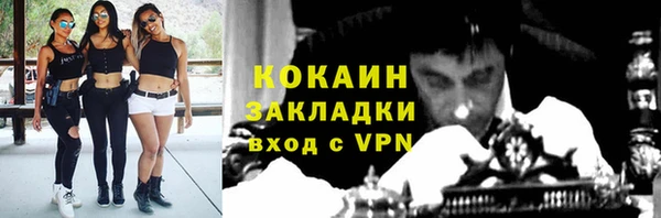 тгк Алзамай