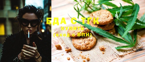 тгк Алзамай