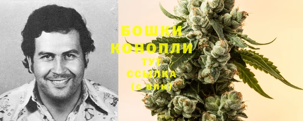 ГАЛЛЮЦИНОГЕННЫЕ ГРИБЫ Абаза
