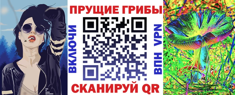 Псилоцибиновые грибы Psilocybine cubensis  Павловский Посад 